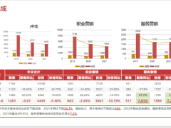 2023半年工作总结下半年工作规划现状分析发展规划34页.pptx