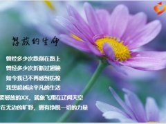 怒放的鲜花迎新早会流程10页.pptx