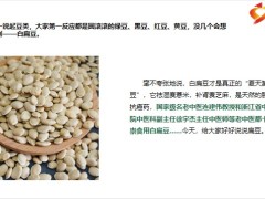 每日健康白扁豆才是夏天第一豆除湿降糖抗击病毒16页.pptx