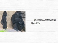 每日快乐早会23年6月19日使用12页.pptx