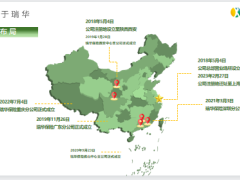 瑞华健康保险股份有限公司公司简介专长优势可持续发展20页.pptx