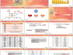 阳光人寿阳光保定期开发背景产品解读21页.pptx 