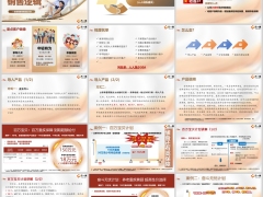 新华金福满堂销售逻辑产品案例计划异议处理26页.pptx 