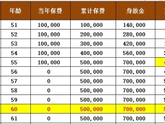 阳光人寿臻盈倍致B款分红型产品利益演示.xlsx 