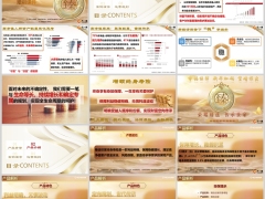 新华臻选世家产品背景介绍案例演示运营规则29页.pptx 