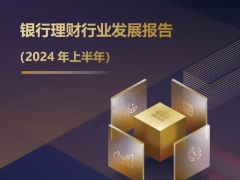 2024年上半年银行理财行业发展报告44页.pdf 