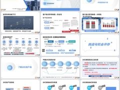 2024分红险市场趋势定义介绍产品特色理财优势32页.pptx 
