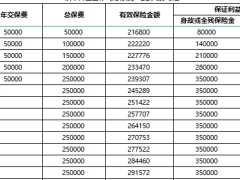 横琴传世金彩龙行版增额终身寿险利益演示表.xlsx 