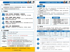 新华金福满堂产品组合训练一页纸2页.pptx 