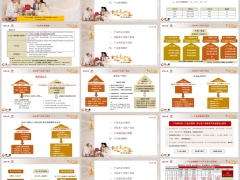 百年连享金生产品形态规则销售底层逻辑案例22页.pptx 