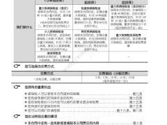 国寿康宁尊享重大疾病保险2024版条款费率.zip 