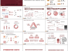 从资产负债看保险规划价值中国家庭资产分析18页.pptx 