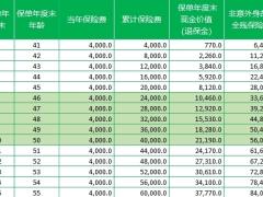 瑞泰稳驾保3.0两全保险利益演示.xlsx 