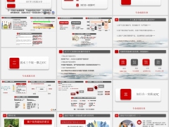 专业化销售老客户KYC基础信息收集实践36页.pptx 