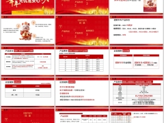 招商仁和招财年年产品特点形态案例演示19页.pptx 