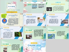 每日新闻资讯24年10月16日早会使用11页.pptx