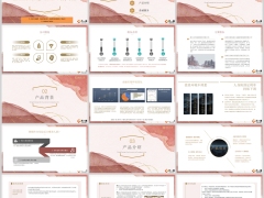 鼎诚诚心如意庆典版介绍产品背景介绍服务24页.pptx 
