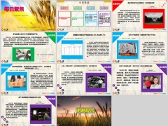 每日新闻资讯24年10月19日早会使用11页.pptx
