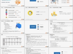 民生百万能量优行保龙耀版产品卖点形态案例17页.pptx 