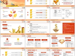 民生聚盈宝龙耀版产品定义特点万能基础知识24页.pptx 