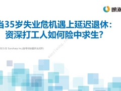 当35岁失业危机遇上延迟退休资深打工人如何险中求生15页.pdf 