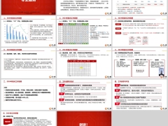 2024年保险个险培训部年度工作总结14页.pptx 