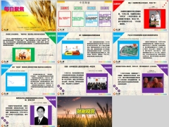 每日新闻资讯24年10月26日早会使用11页.pptx