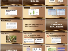 重新认知中国养老现状两大方面养老规划48页.pptx 