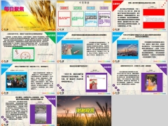 每日新闻资讯24年11月02日早会使用11页.pptx