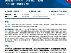 保险业2025年开门红前瞻开门红被透支了吗8页.pdf 