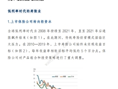 低利率时代国际经验对中国保险业的启示11页.pdf 