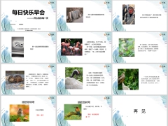 每日快乐早会24年11月15日使用12页.pptx 