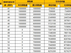 阳光人寿臻玺阳光菁英版分红型客户利益演示.xlsx 