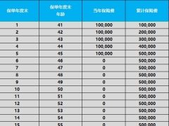 瑞众金满堂典藏版年金保险产品计划书案例演示.xlsx 