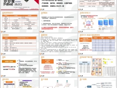 中荷互联网岁岁享ELCC产品优势客户画像30页.pptx 