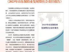 山东保险杂志2024年8月48页.pdf