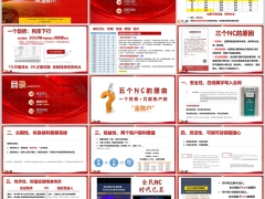 太保长相伴传世2024NC金账户理念优势案例训练29页.pptx 