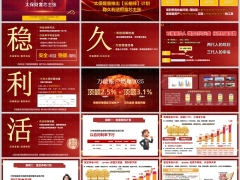 太保长相伴传世2024产品特色2.5案例19页.pptx 