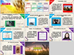 每日新闻资讯24年12月7日早会使用11页.pptx