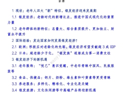 2024中国银发经济报告46页.pdf 
