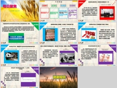 每日新闻资讯24年12月14日早会使用11页.pptx