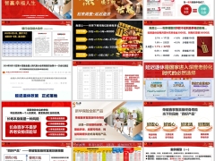 新华荣耀鑫享智赢版终身寿险四好产品案例模型26页.pptx 