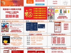 保险VIP新年尊享会产说会操作五重大礼邀约话术面见话术四次促成异议处理28页.pptx