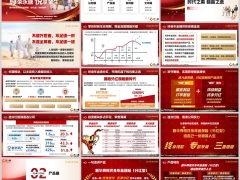 新华尊悦终身年金保险分红型认知产品案例支持37页.pptx 