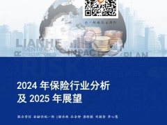 2024年保险行业分析及2025年展望20页.pdf 