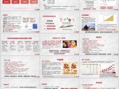 营销逻辑产品六问导入产品讲解异议处理太平国弘一号版15页.pptx 