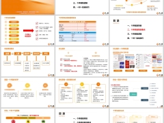 个养赋能项目策划要点销售逻辑职域模式中运用27页.pptx 