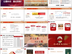 2025国华银保永乐福趸交亮点四利四好万年青介绍客群31页.pptx 