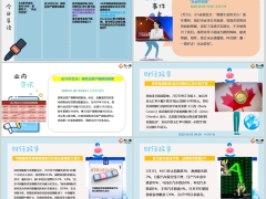 每日新闻资讯25年2月4日早会使用11页.pptx