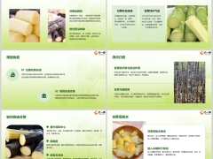 每日健康甘蔗堪称心脏保护伞润肺化痰厉害清甜又多汁含备注10页.pptx 